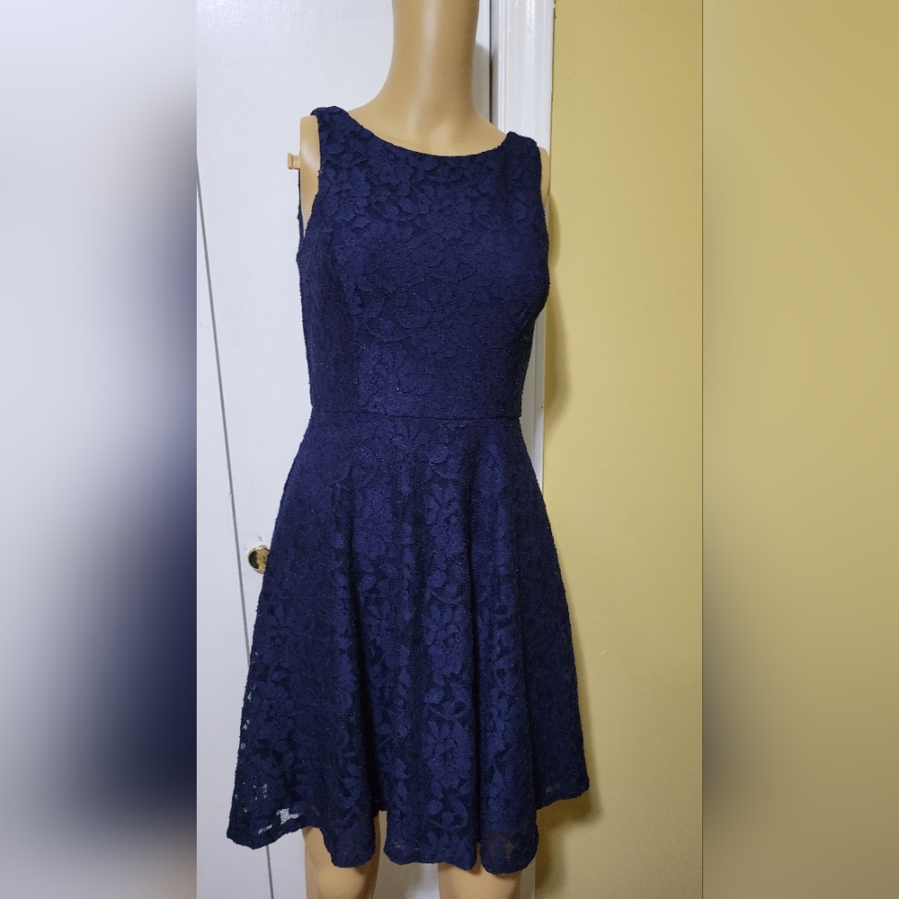 Sleeveless Navy Lace Dress sz Small